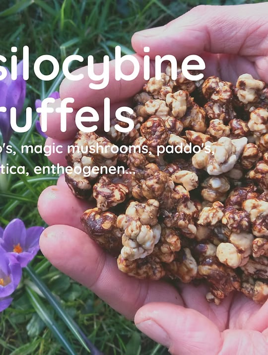 Retraite aux truffes de 5 jours dans notre Temple de la Nature