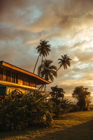 ATELIERS D'AYAHUASCA