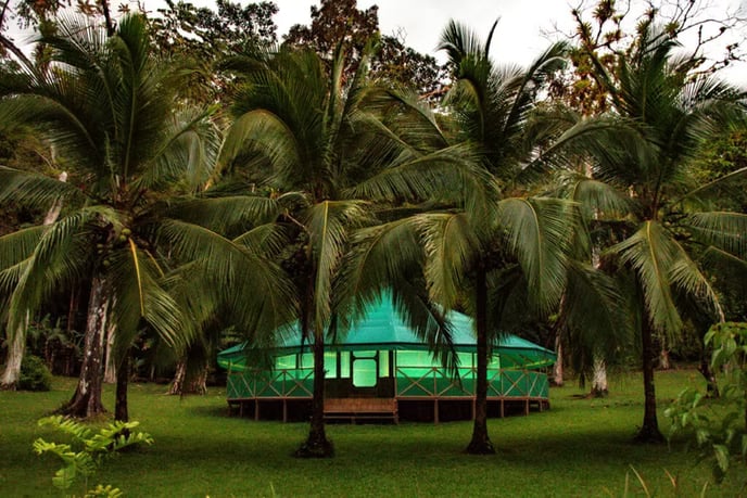 ATELIERS D'AYAHUASCA