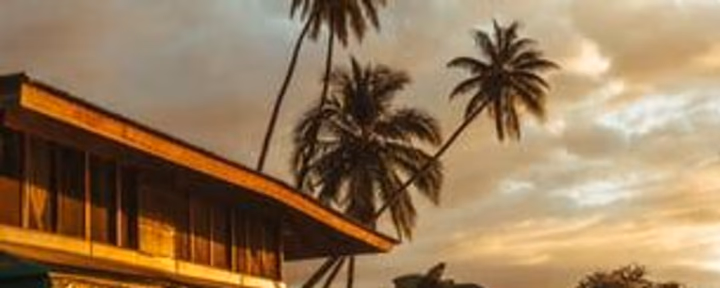 ATELIERS D'AYAHUASCA