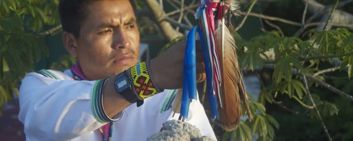 Ayahuasca Soul Journey, 4 Jours