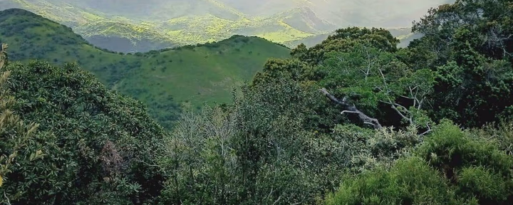 5 jours "INJOY" retraite - Respirez dans la félicité à Magwa Falls