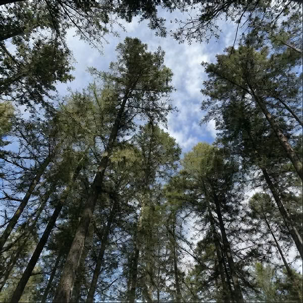 Retraite personnelle d'une journée