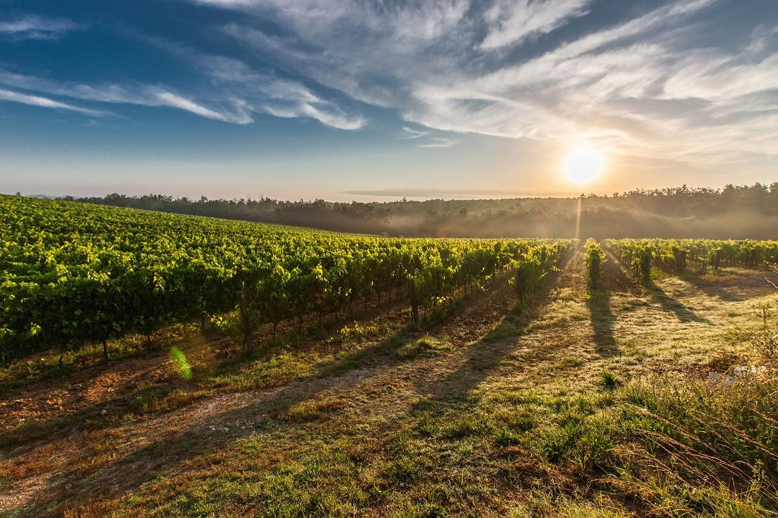 Yoga, Randonnée, Fitness + Équitation