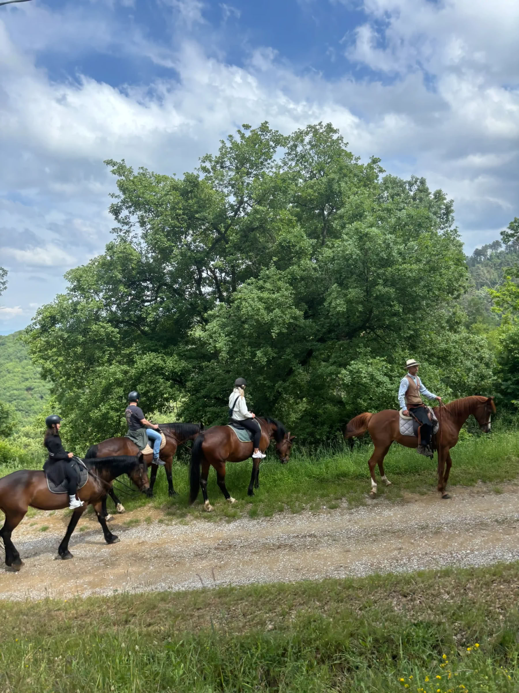Yoga, Randonnée, Fitness + Équitation