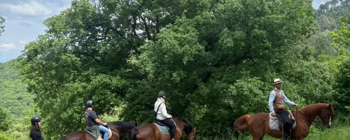 Yoga, Randonnée, Fitness + Équitation