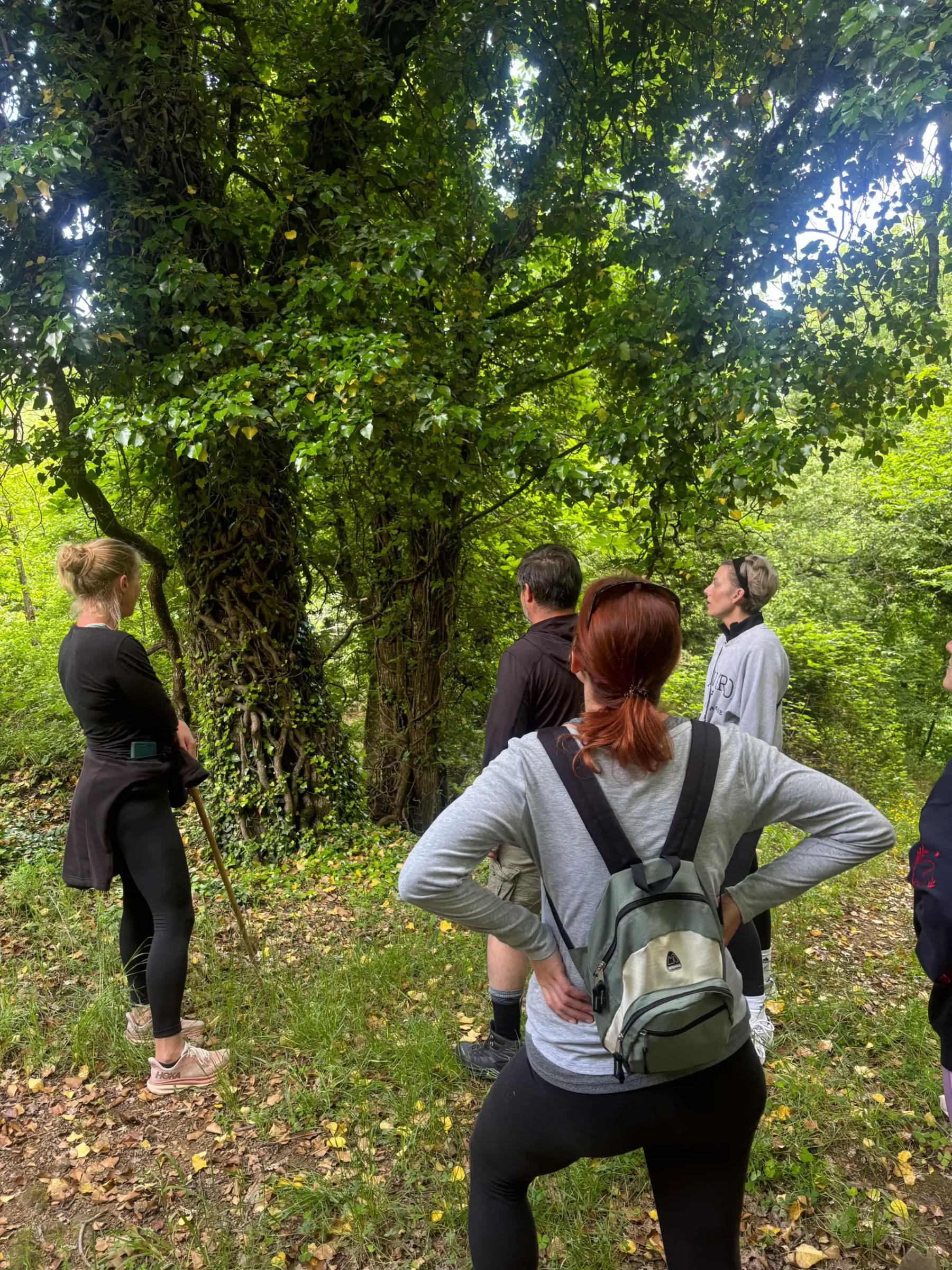 Yoga & Fitness – (4 jours/3 nuits)