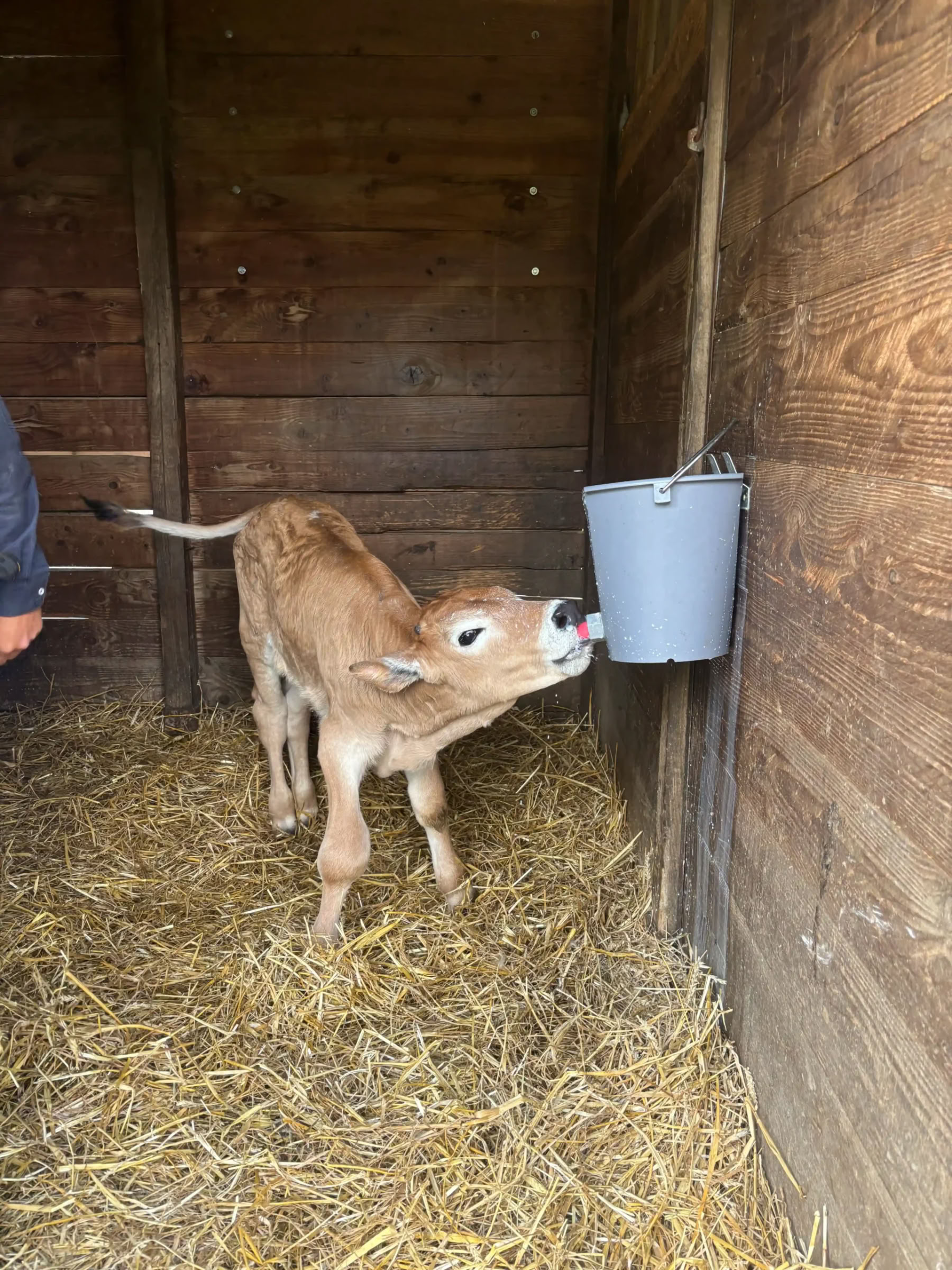 Yoga & Fitness – (4 jours/3 nuits)