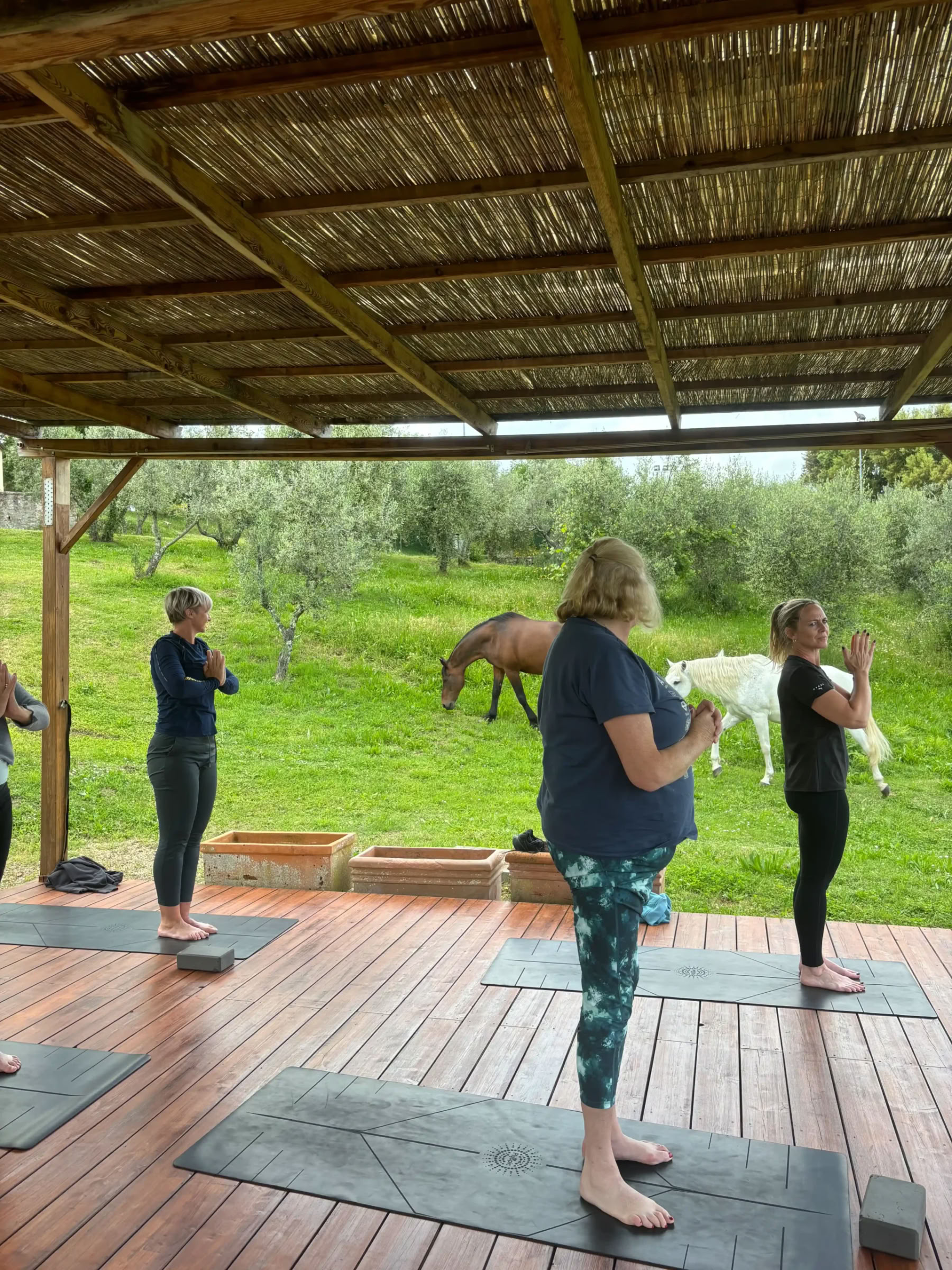 Yoga & Fitness – (4 jours/3 nuits)