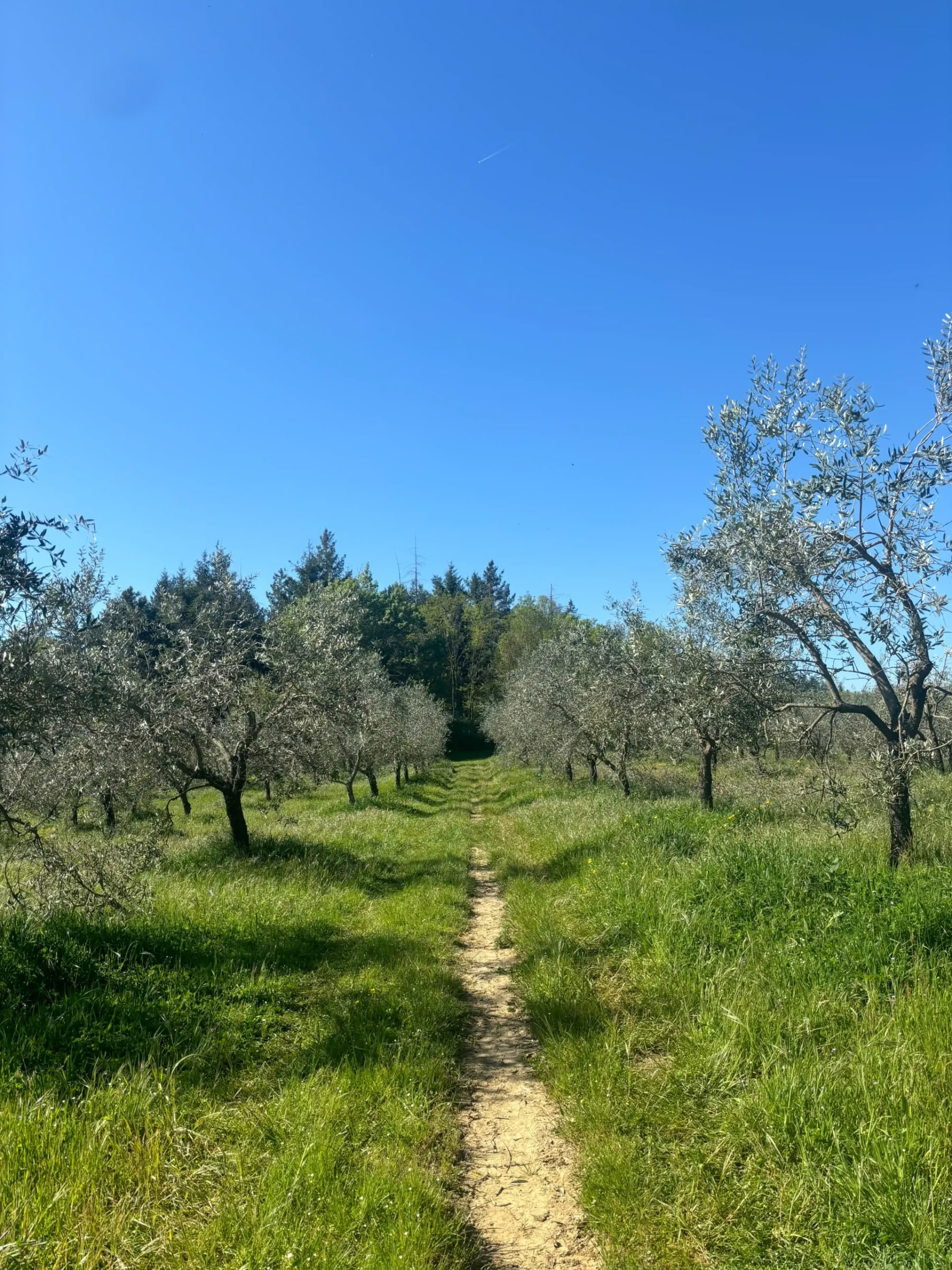 Yoga & Fitness – (4 jours/3 nuits)