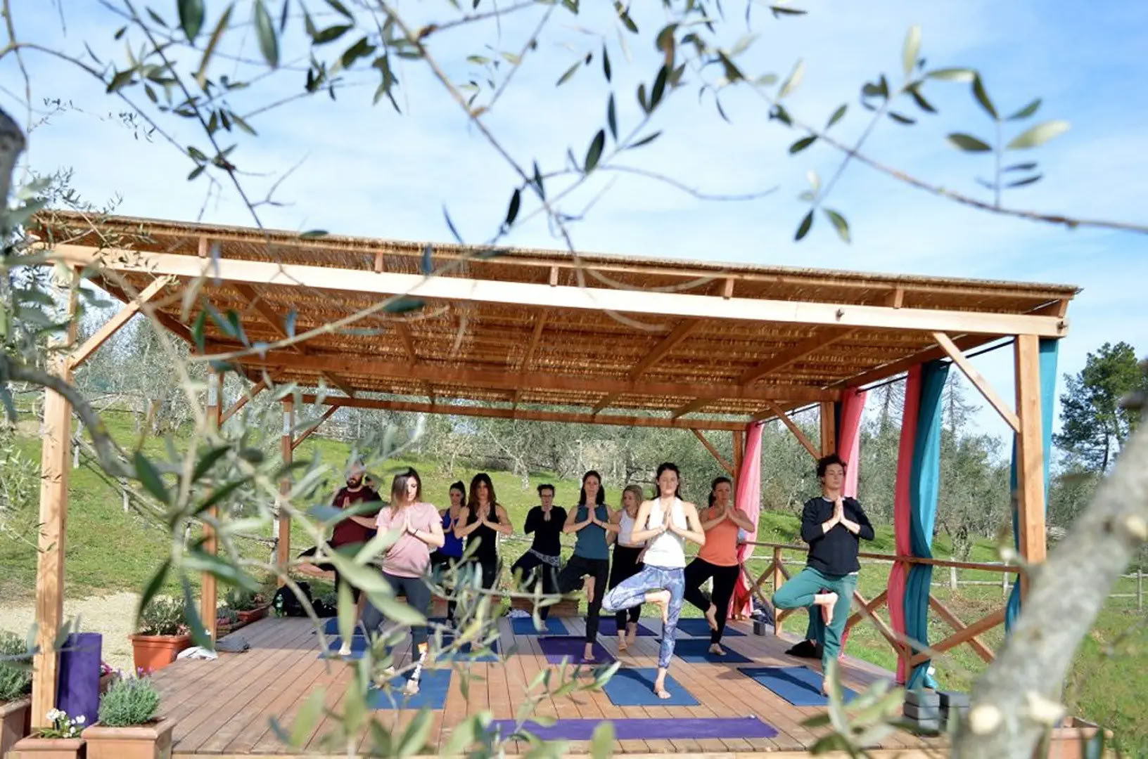 Yoga & Fitness
