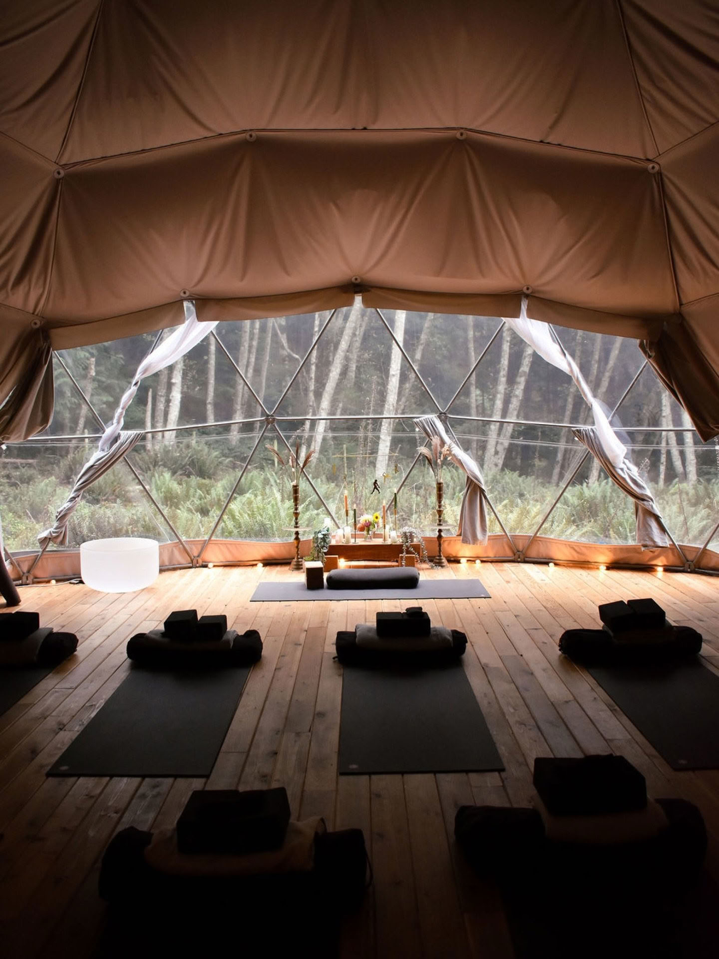 Ashtanga Yoga Day Intensive : La magie réparatrice du Vinyasa | Nectar sur l’île Bowen