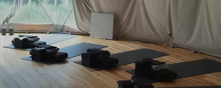 Ashtanga Yoga Day Intensive : La magie guérisseuse du Vinyasa