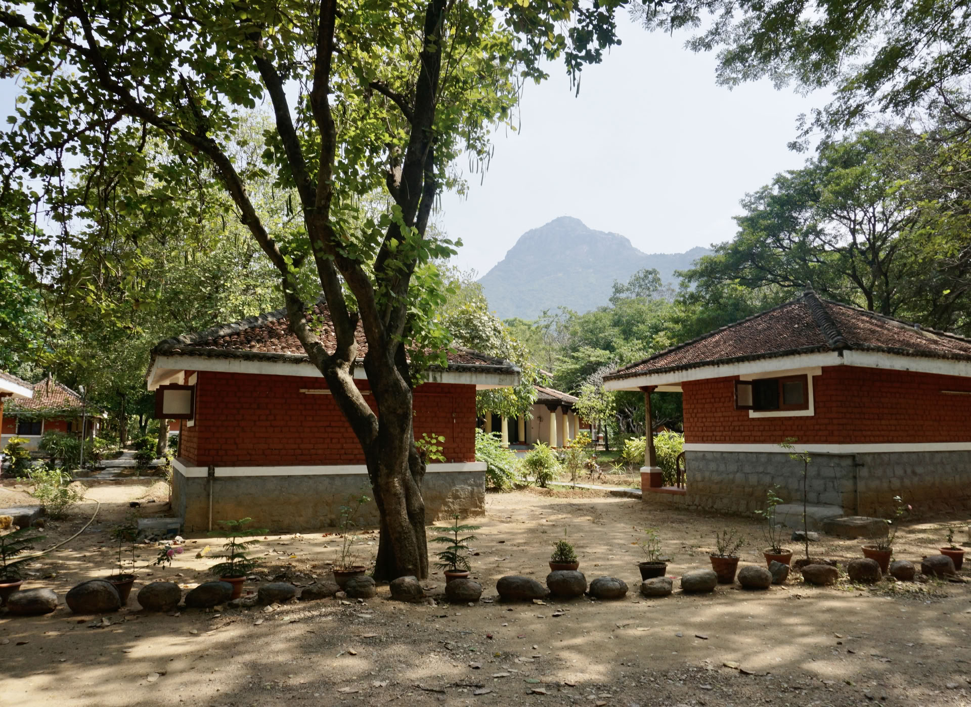 Jan 24 Retraite de méditation silencieuse détox de 21 jours Ashram Inde