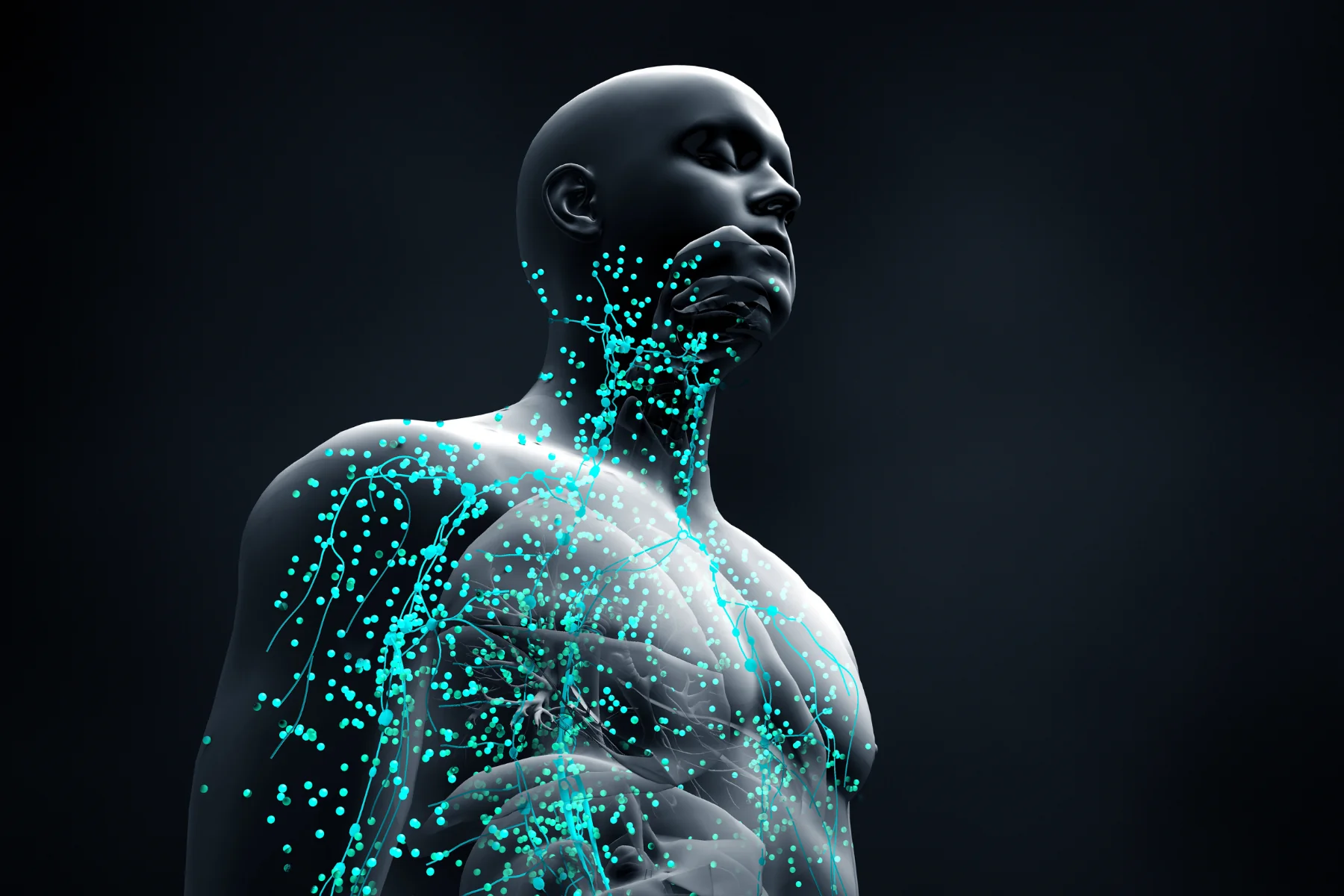 Session d’activation cellulaire