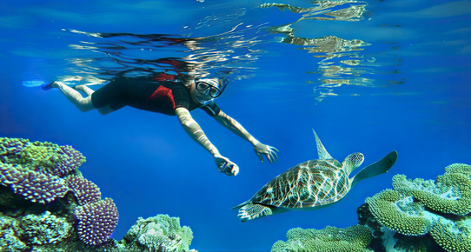 Tour de snorkeling de l'île de Menjangan