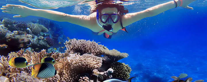 Reef Adventures: Snorkeling à Lovina