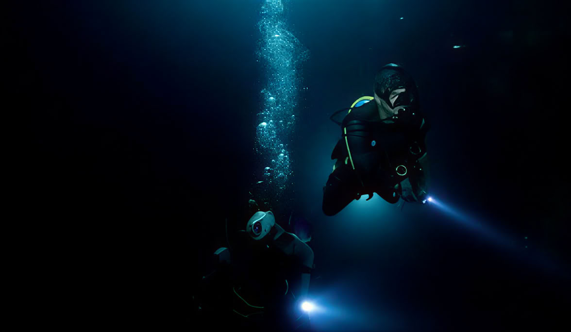 Plongée de nuit à Lovina Reef
