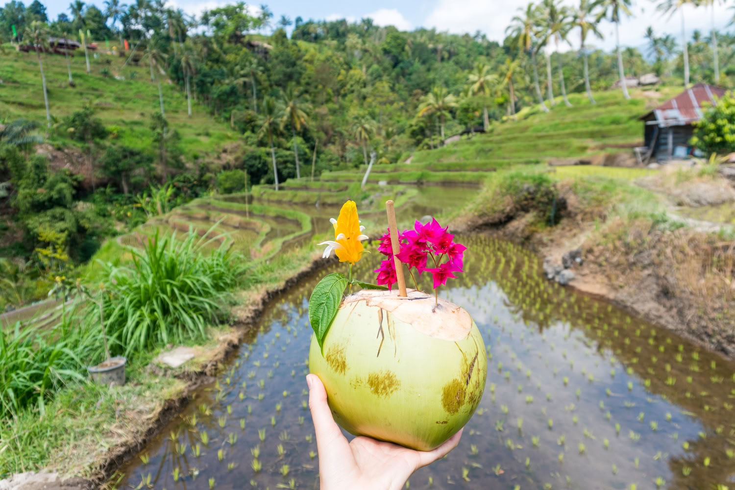 Lemukih Trekking Aventure