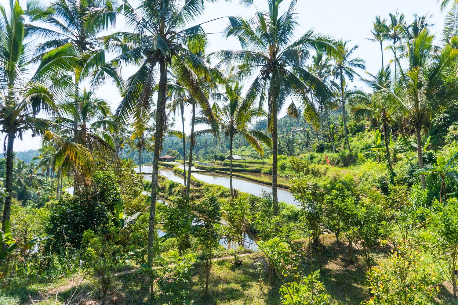 Lemukih Trekking Aventure