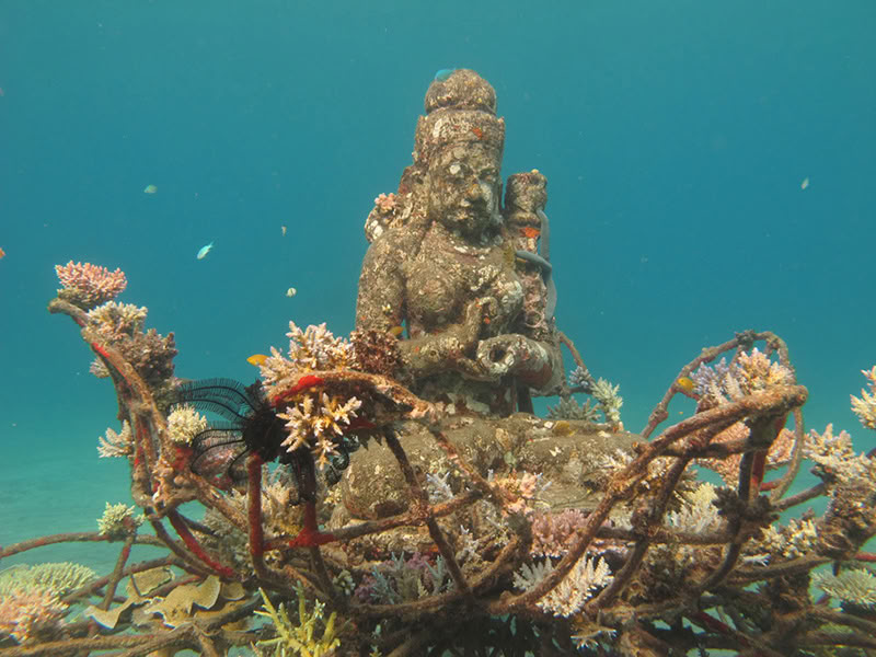 Tour de Pemuteran avec snorkeling