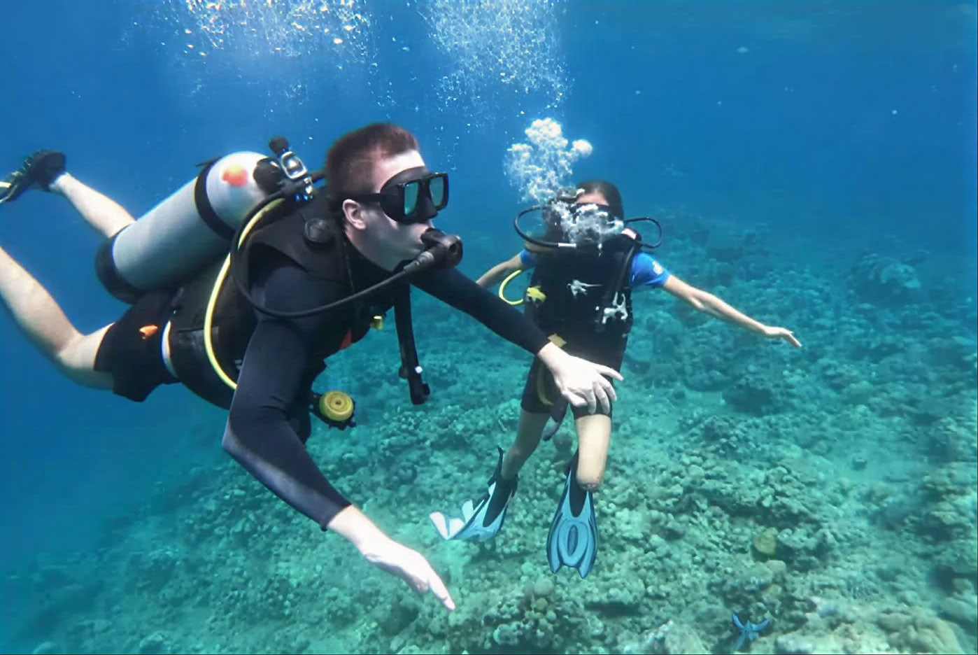 Menjangan Island - Tour de plongée loisir