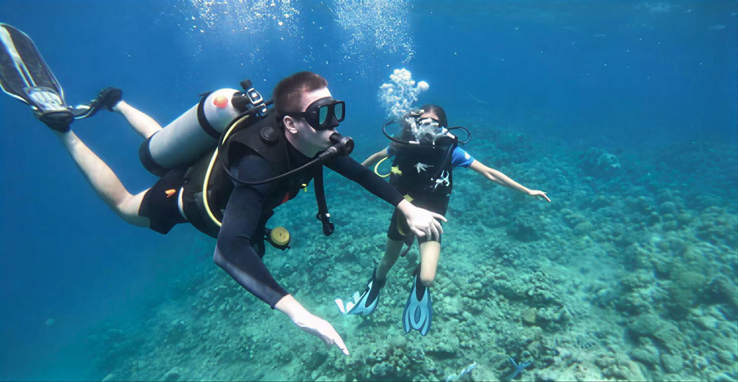 Menjangan Island - Tour de plongée loisir