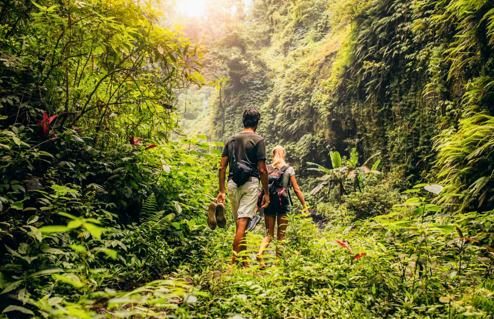 ZEN TREKKING ET DÉCOUVERTE DES CASCADES