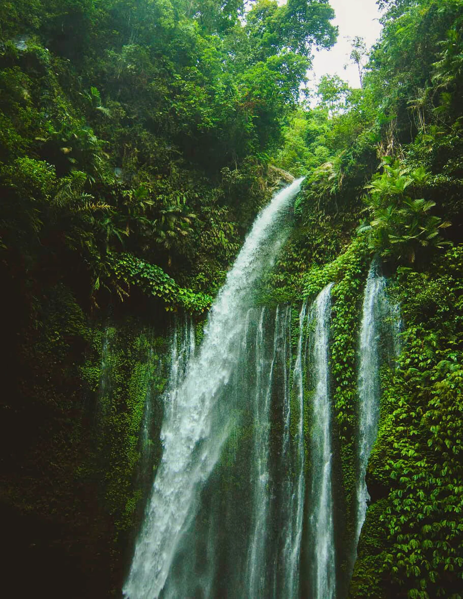 ZEN TREKKING ET DÉCOUVERTE DES CASCADES