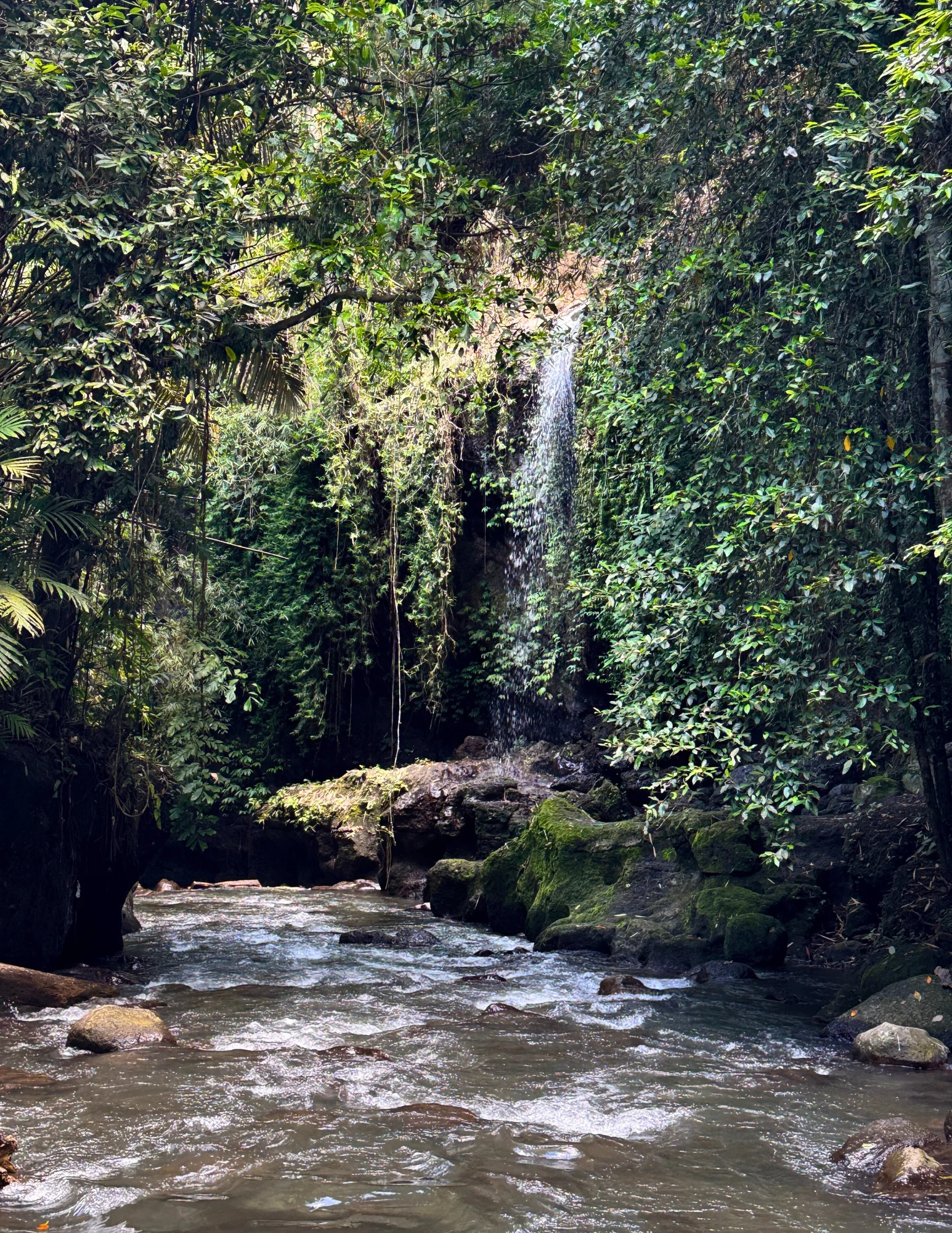 De Jungle Trails à la paix intérieure