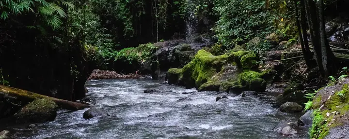 De Jungle Trails à la paix intérieure