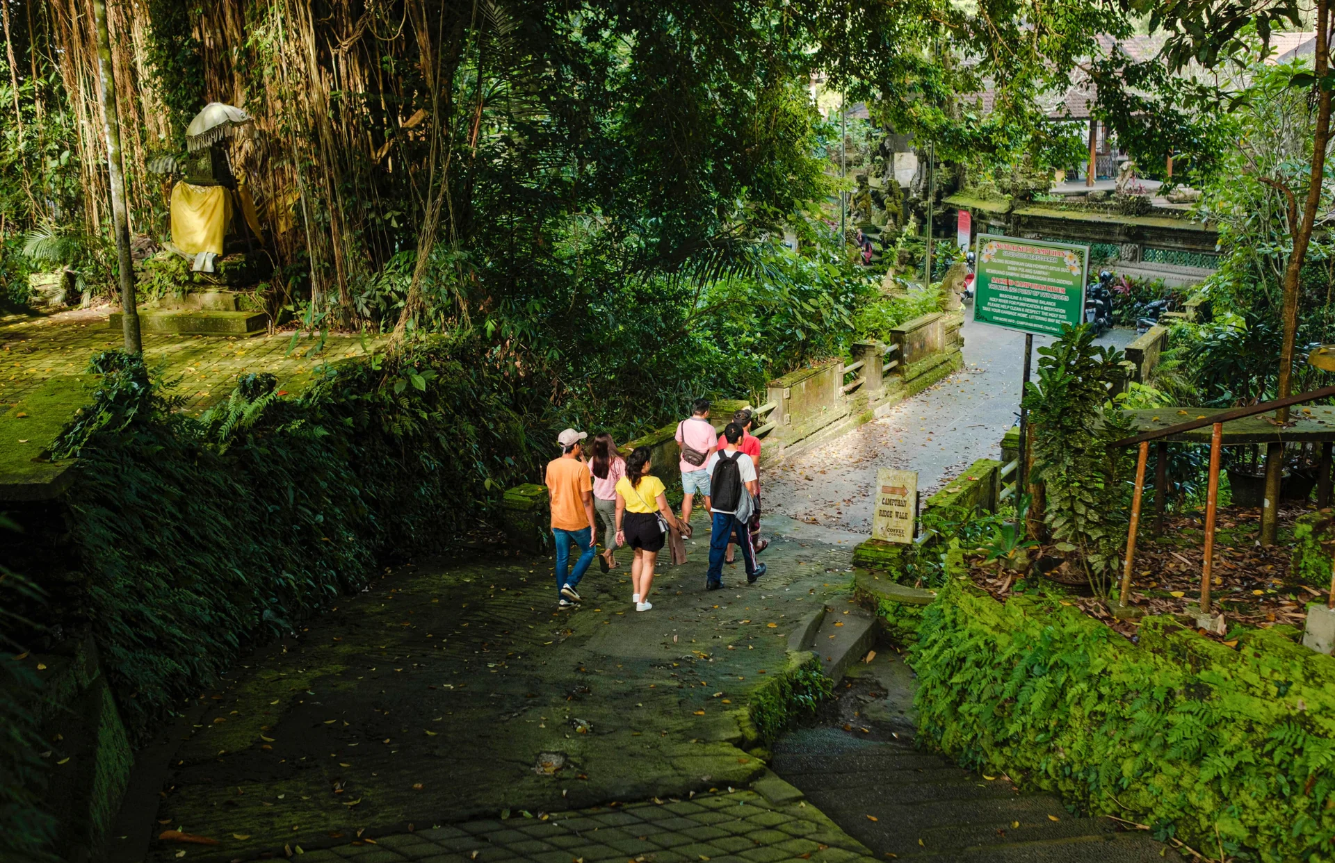 PROMENADES CONTÉES À UBUD