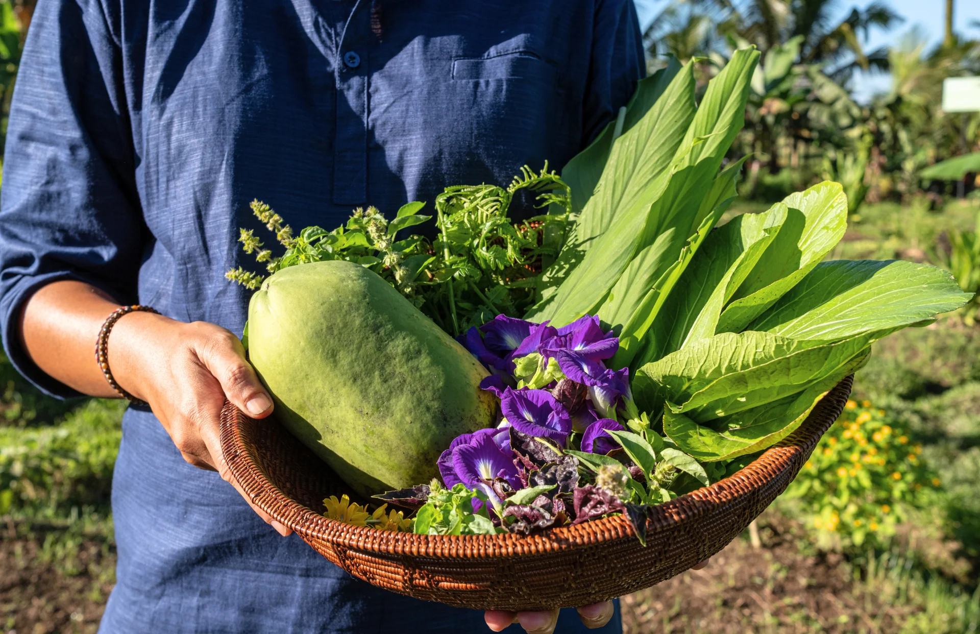 BEGAWAN EXPÉRIENCE DE LA FERME À LA TABLE