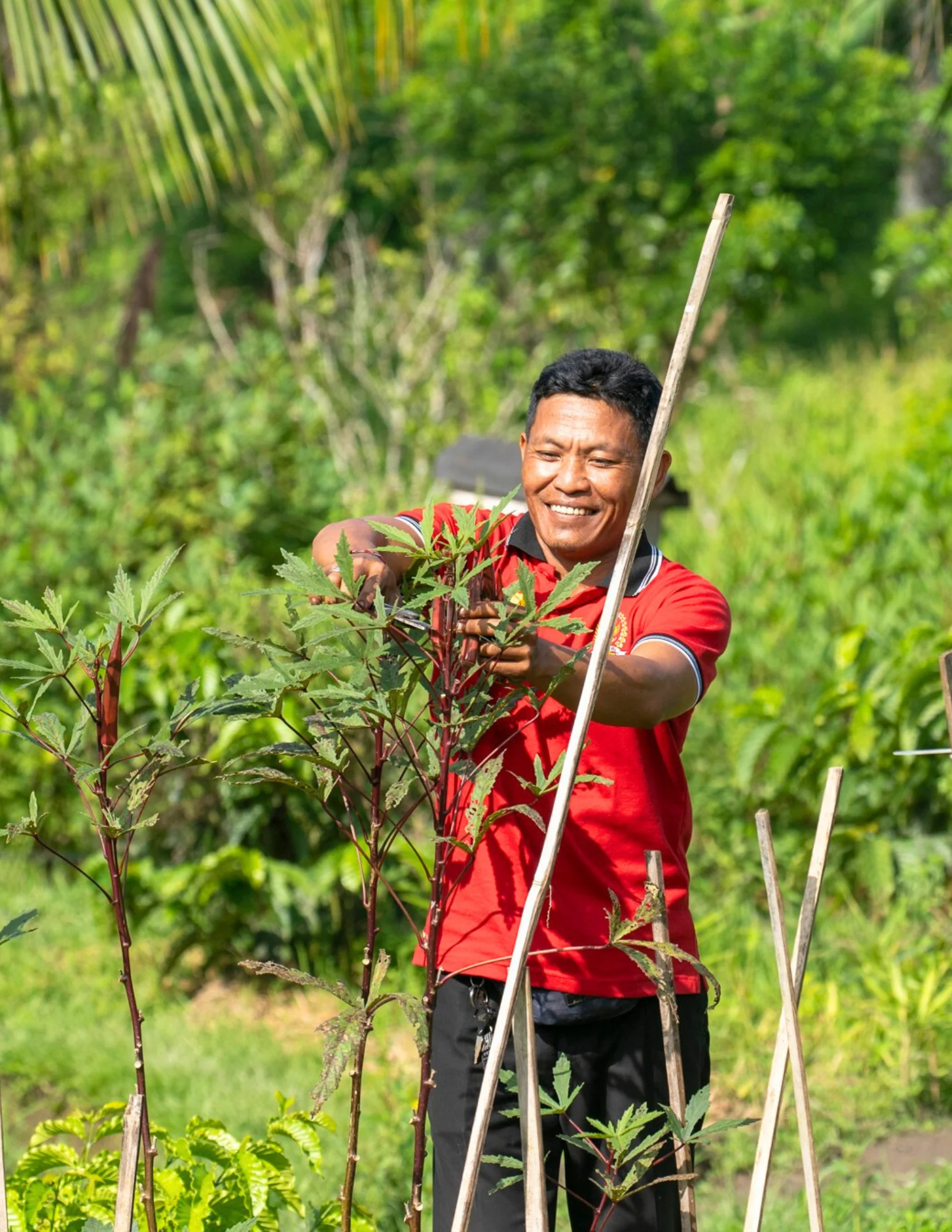 BEGAWAN EXPÉRIENCE DE LA FERME À LA TABLE