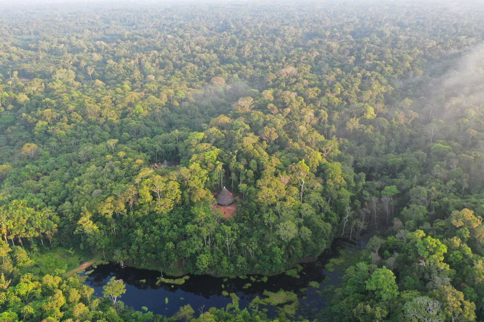 Retraite ayahuasca ouverte à Psychonauta Tribe