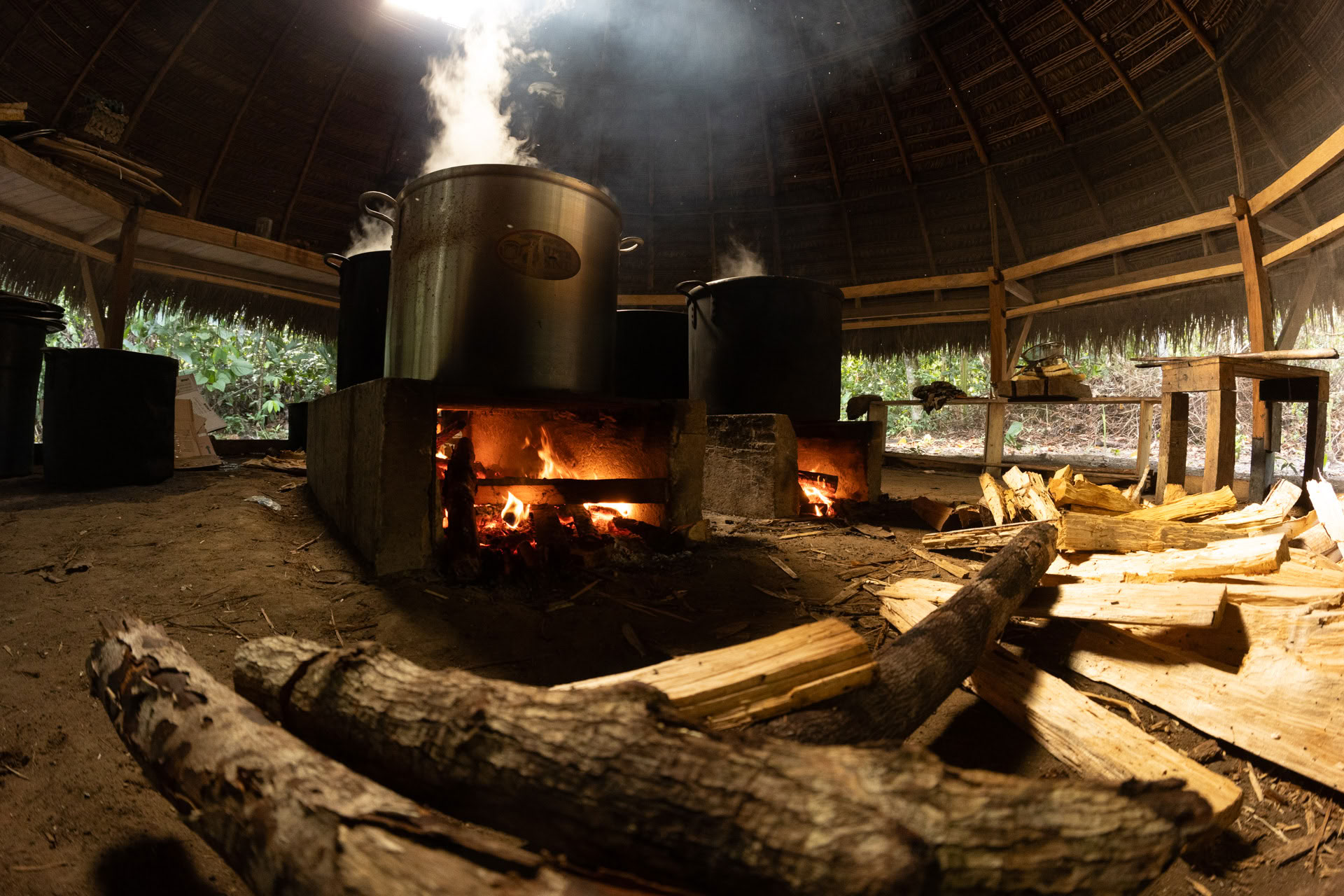 Retraite ouverte à l’ayahuasca
