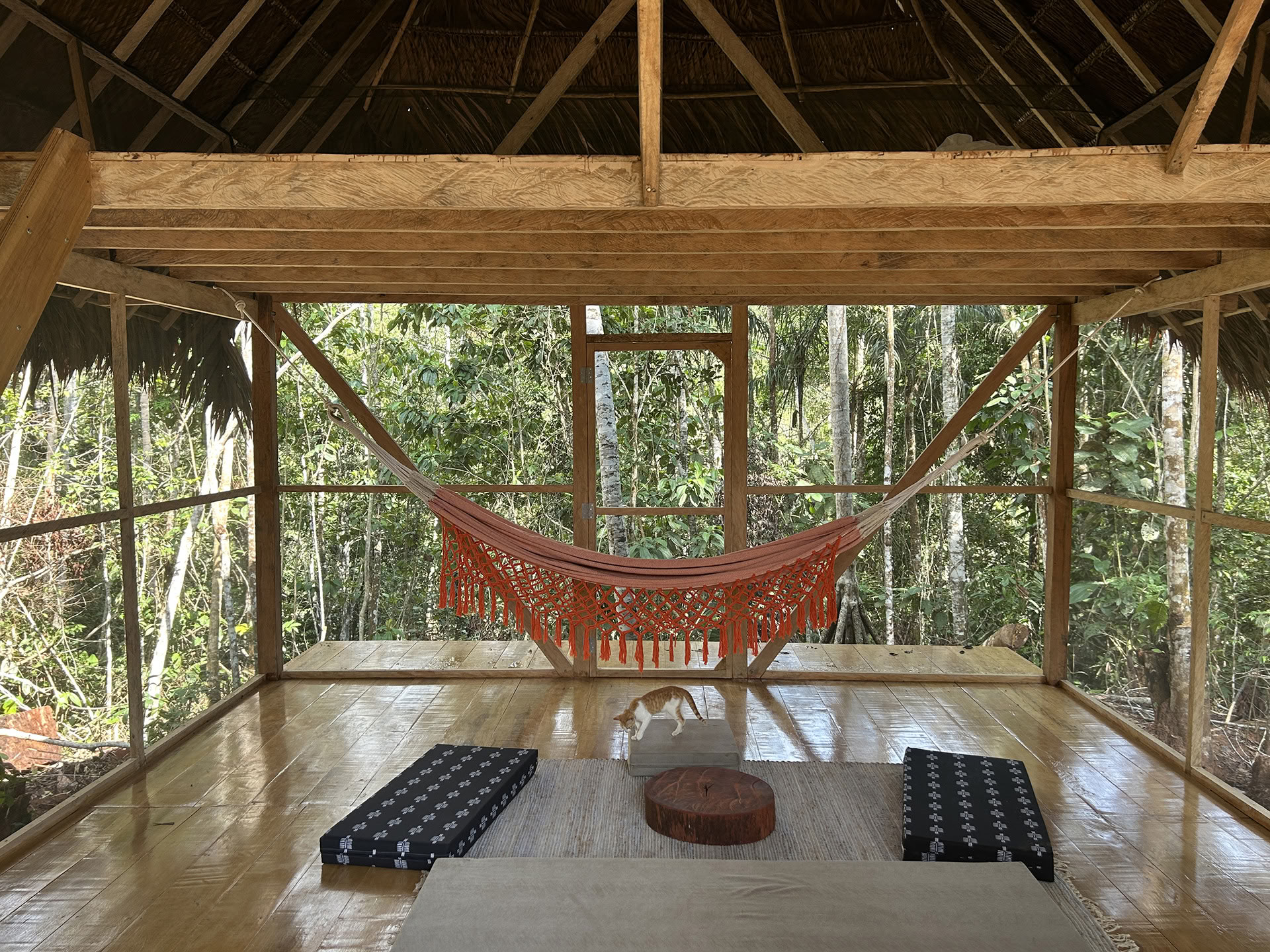 Retraite ouverte à l’ayahuasca