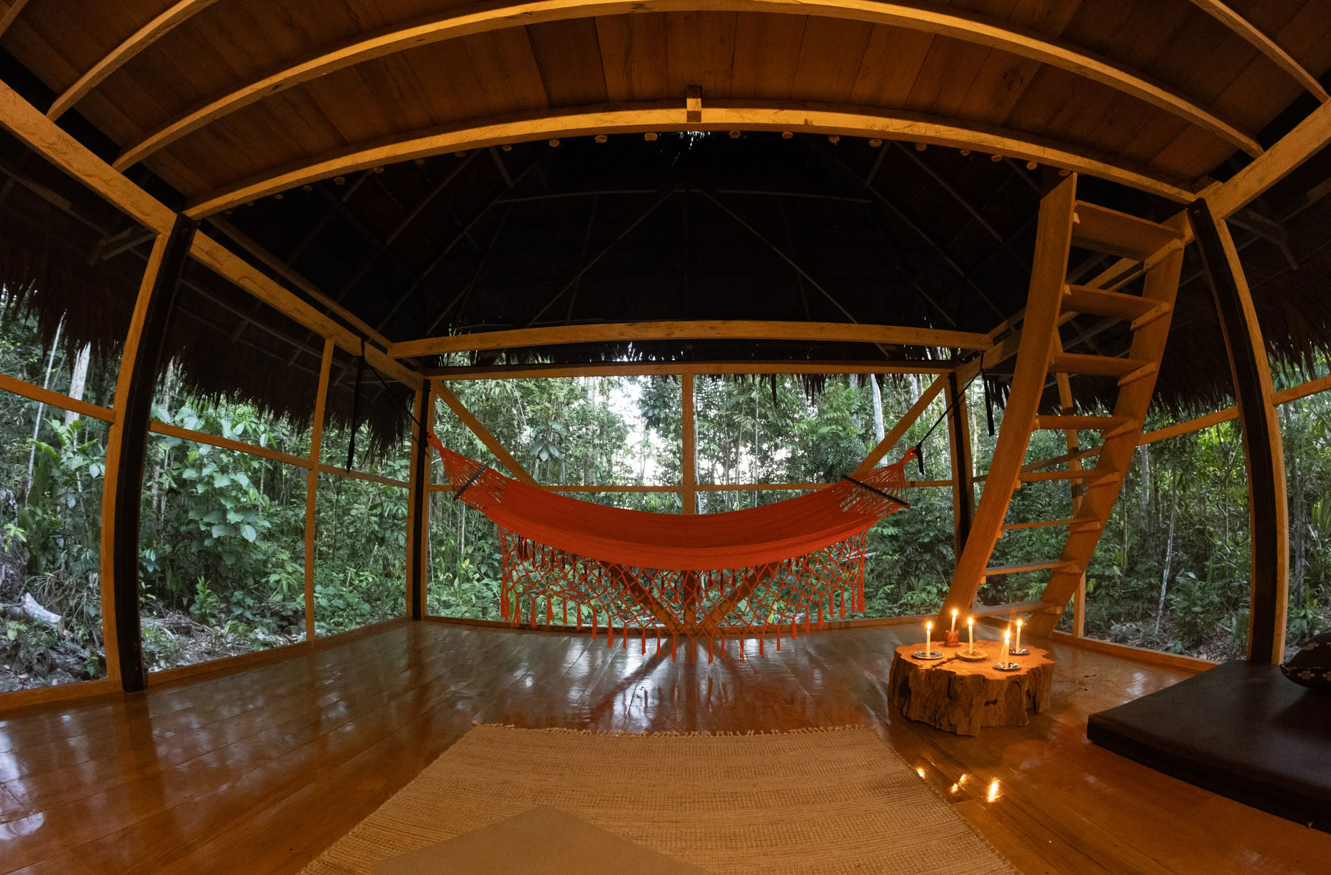 Retraite ouverte à l’ayahuasca
