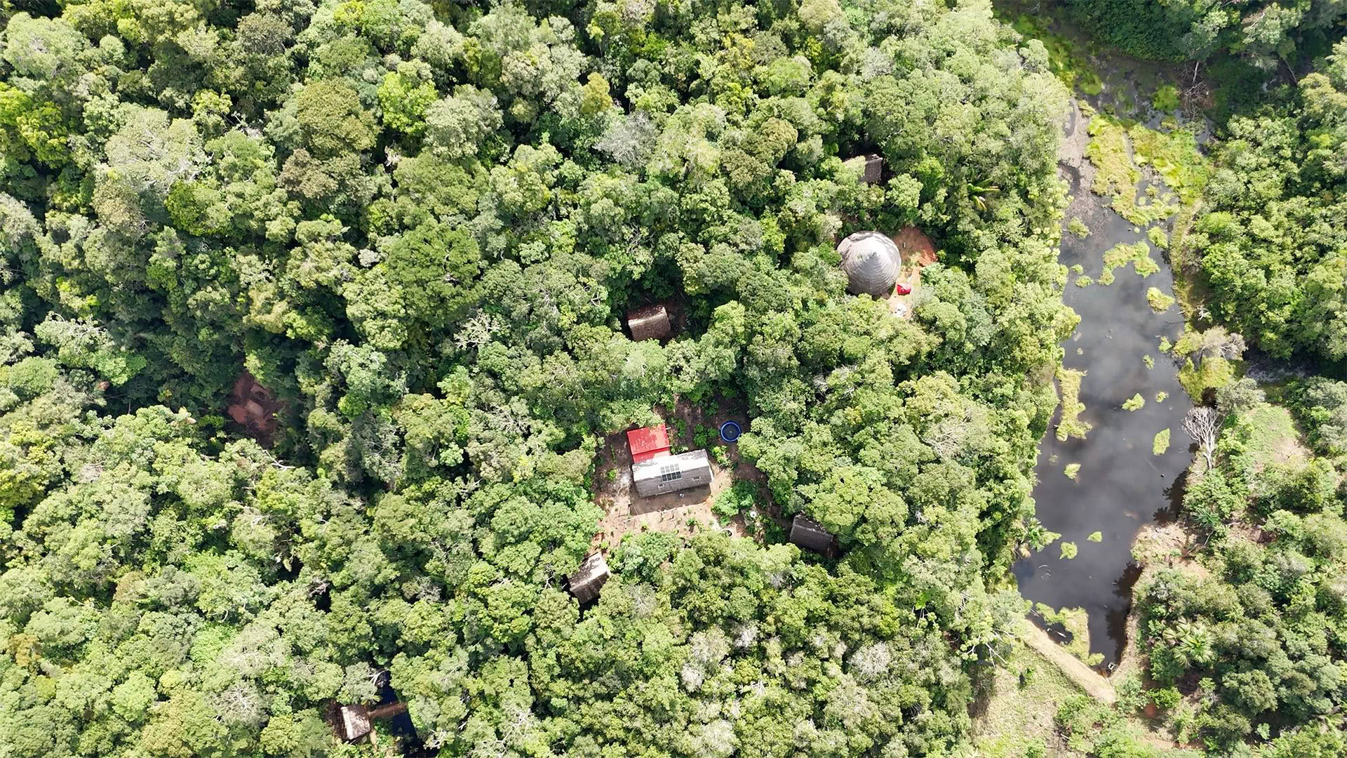 Retraite ouverte à l’ayahuasca