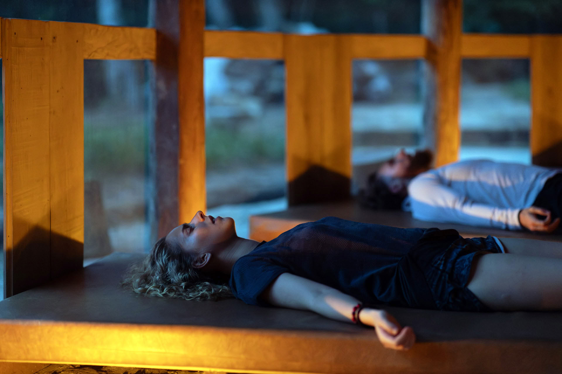 Retraite ouverte à l’ayahuasca