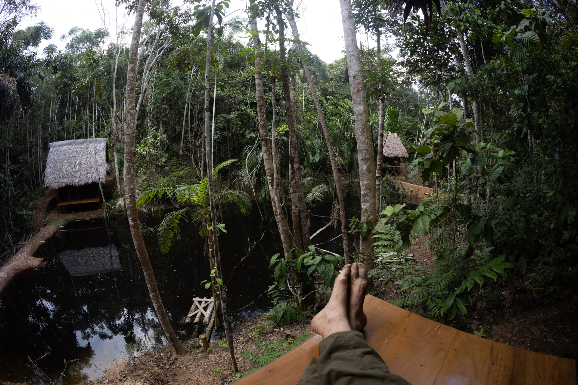 Retraite ouverte à l’ayahuasca