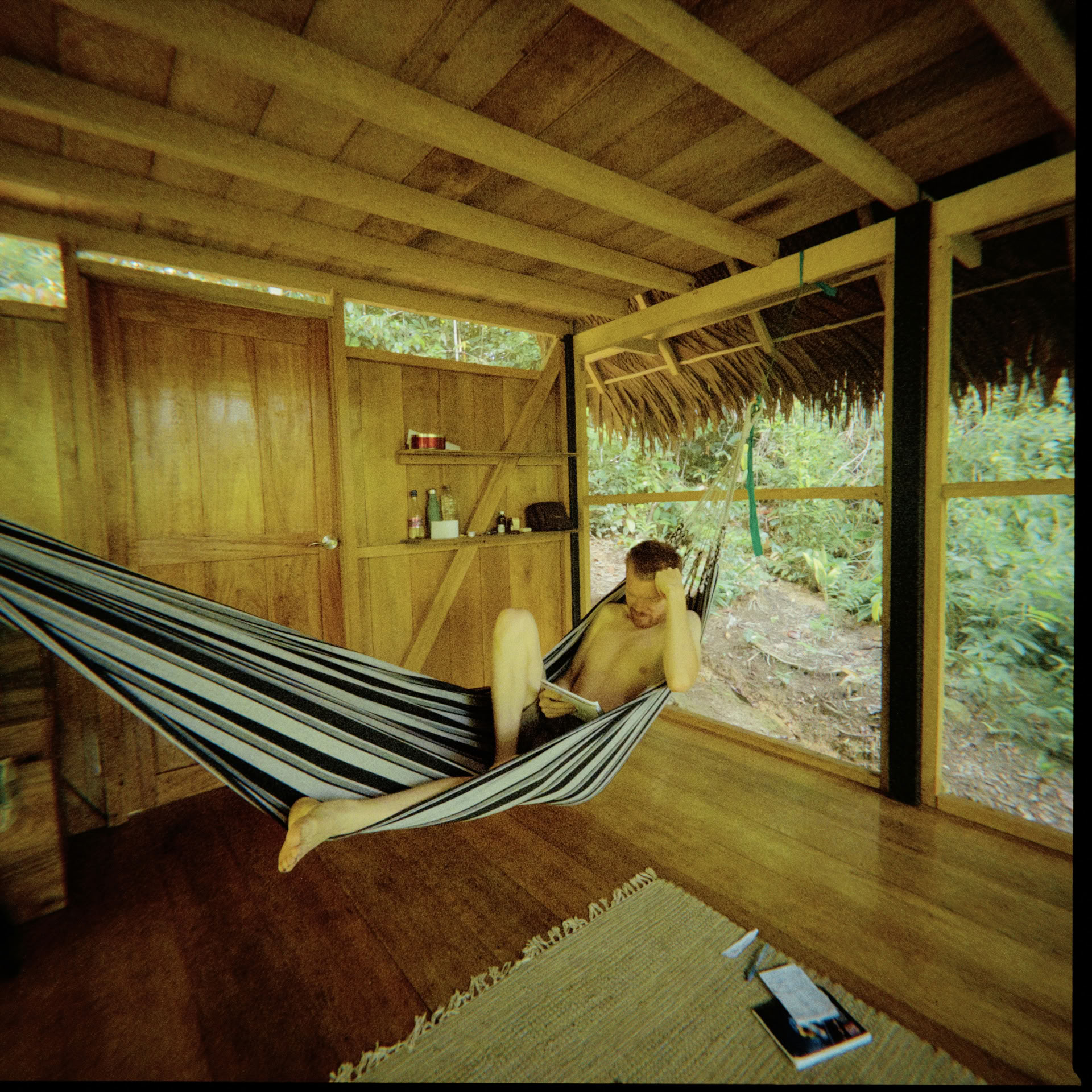 Retraite ouverte à l’ayahuasca