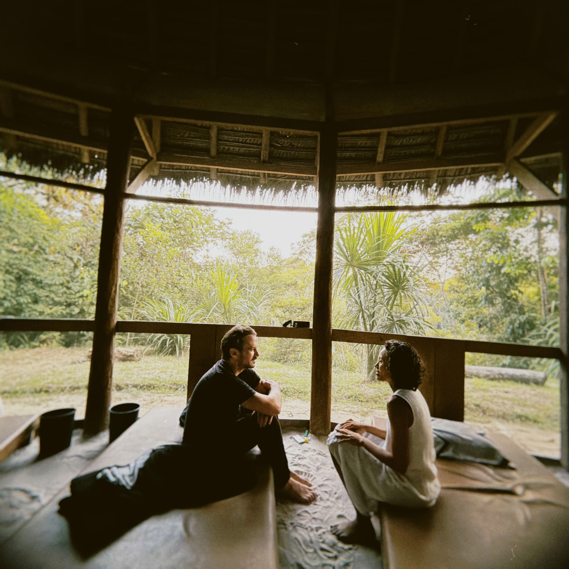 Retraite ouverte à l’ayahuasca