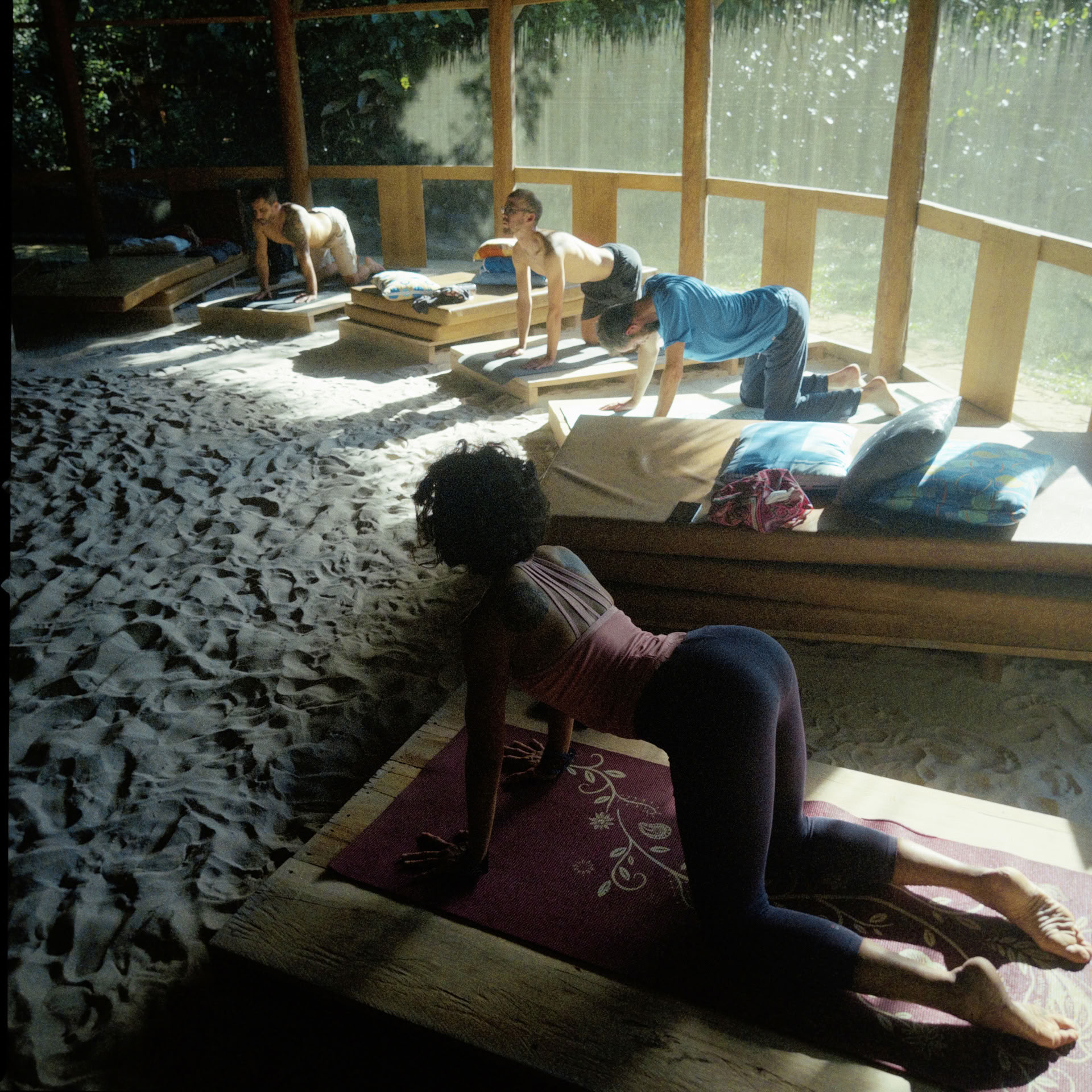 Retraite ouverte à l’ayahuasca