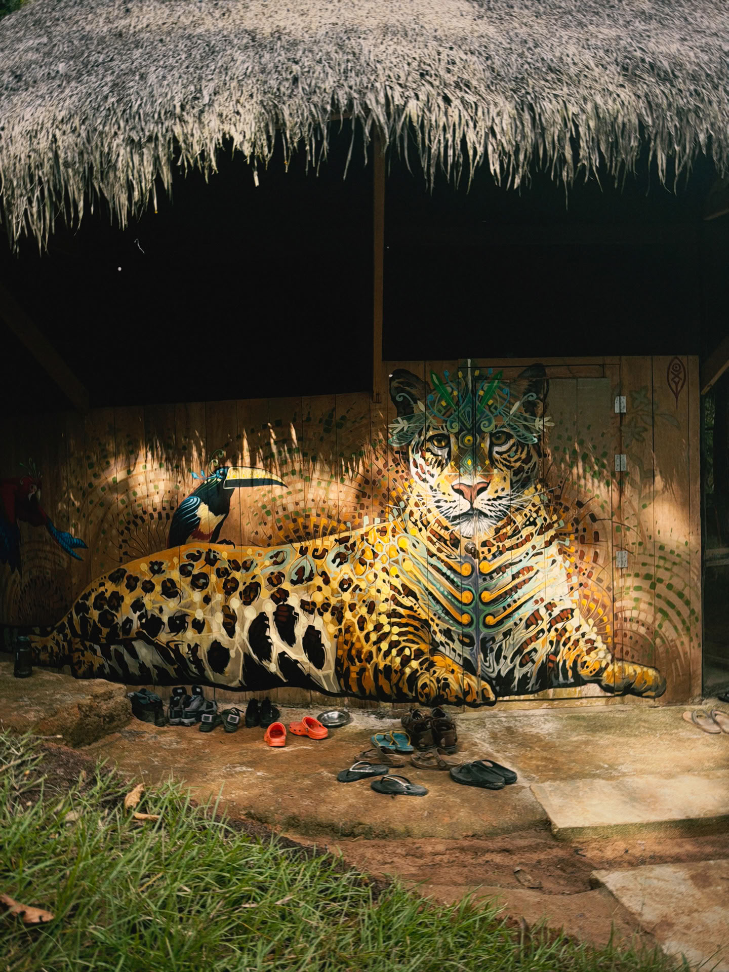 Retraite ouverte à l’ayahuasca