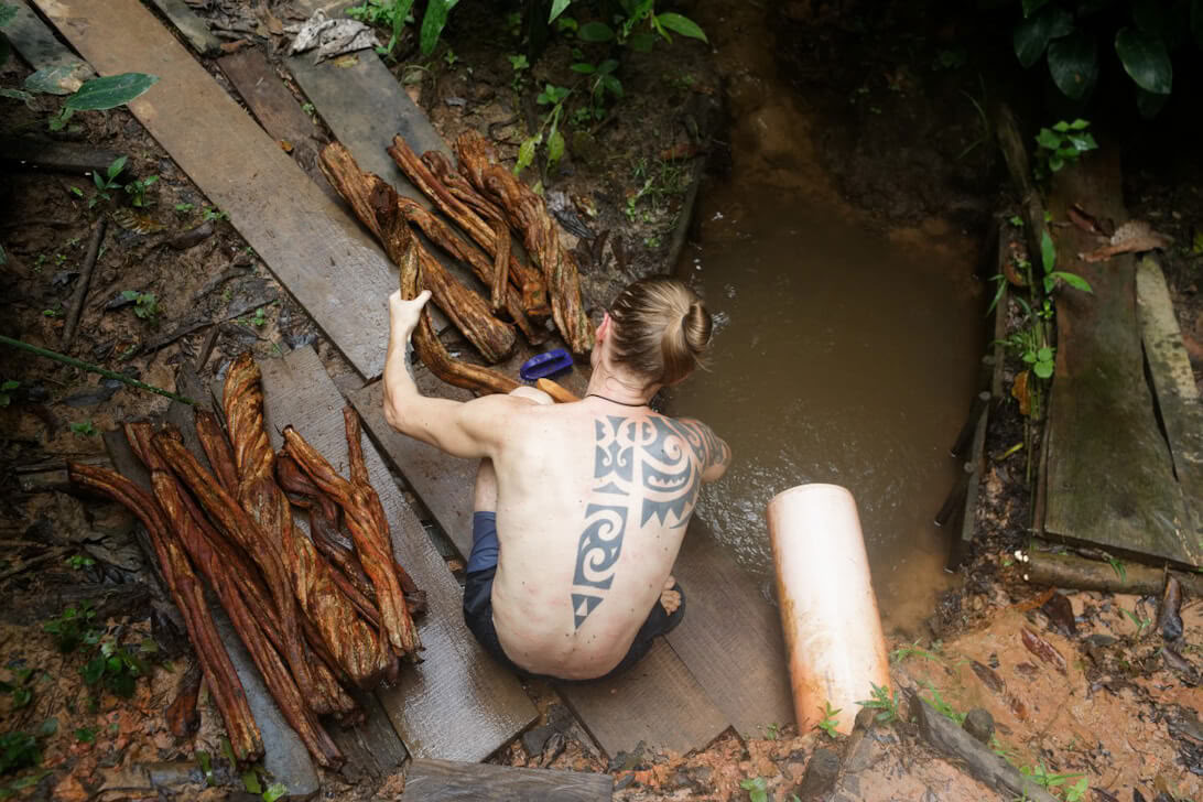 Retraite d’Ayahuasca & Dieta des Plantes Maîtresses au Pérou