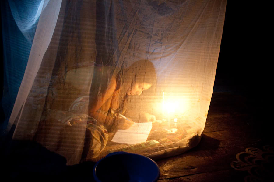 Retraite d’Ayahuasca & Dieta des Plantes Maîtresses au Pérou