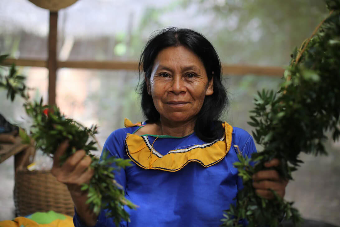 Retraite d’Ayahuasca & Dieta des Plantes Maîtresses au Pérou