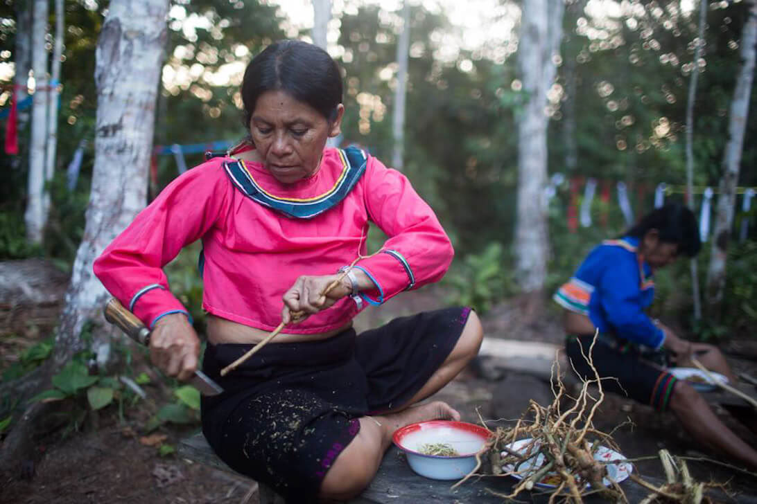 Retraite d’Ayahuasca & Dieta des Plantes Maîtresses au Pérou