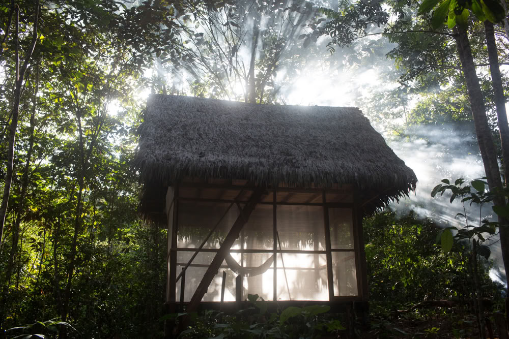 Retraite d’Ayahuasca & Dieta des Plantes Maîtresses au Pérou
